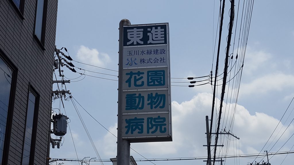 20160721_122938